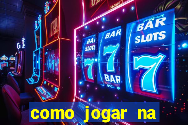 como jogar na lotinha do jogo do bicho